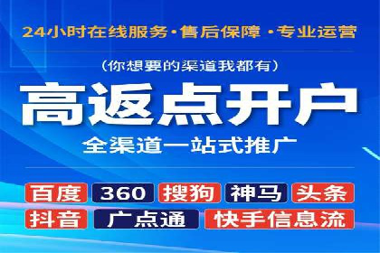 某企业SEM广告投放的ROI提升策略及效果展示
